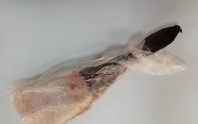 Coda rospo con pelle congelata a bordo