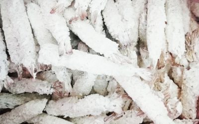 Code di mazzancolla panate in tempura