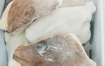 Filetto di pesce San Pietro con pelle