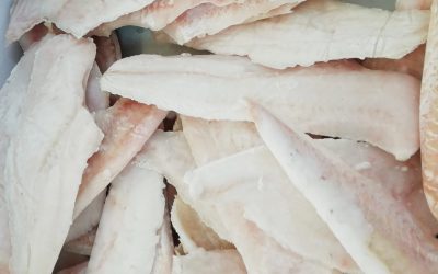 Filetto di merluzzo senza pelle congelato a bordo