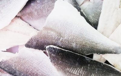 Filetto di orata con pelle