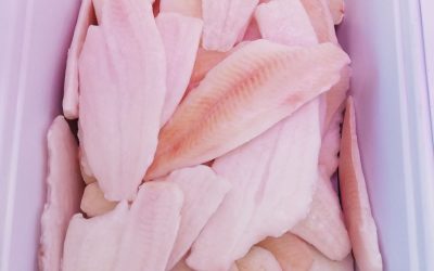 Filetto di Platessa senza pelle MARI DEL NORD