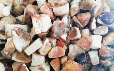 Funghi porcini a cubetti