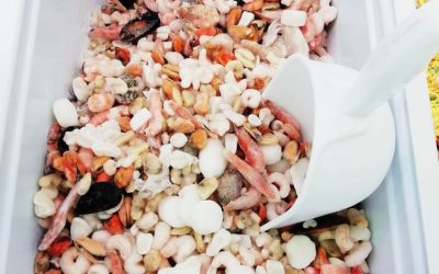 Misto scoglio con gusci