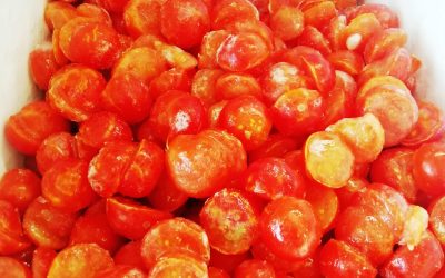 Pomodorini a metà congelati sfusi