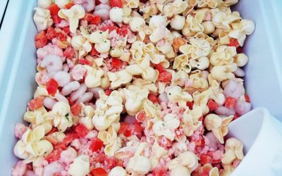 Preparato fagottini al salmone Gr 650