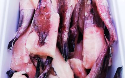 Coda di rospo con pelle orientale