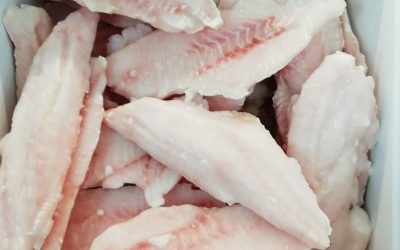 Filetto di cernia senza pelle