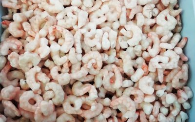 Gamberetti sgusciati crudi piccoli