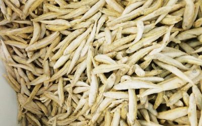 Latterino/Sperlano (pesciolino per fritto)