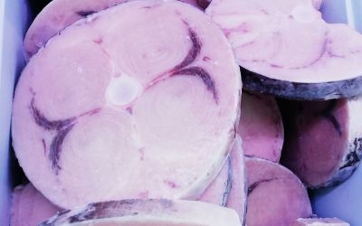 Pesce spada bistecche congelato a bordo
