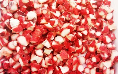 Polpo tagliato e scottato (pronto all’uso)