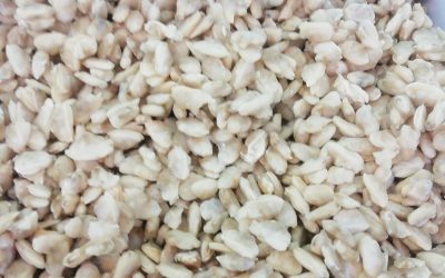 Vongola del pacifico sgusciata